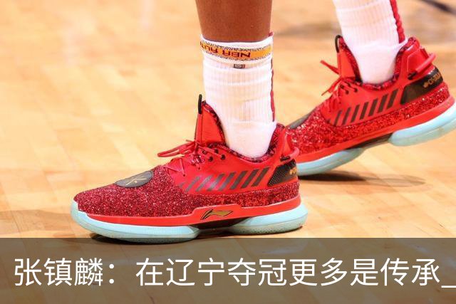 张镇麟：在辽宁夺冠更多是传承 在上海夺冠更像是实现自我价值