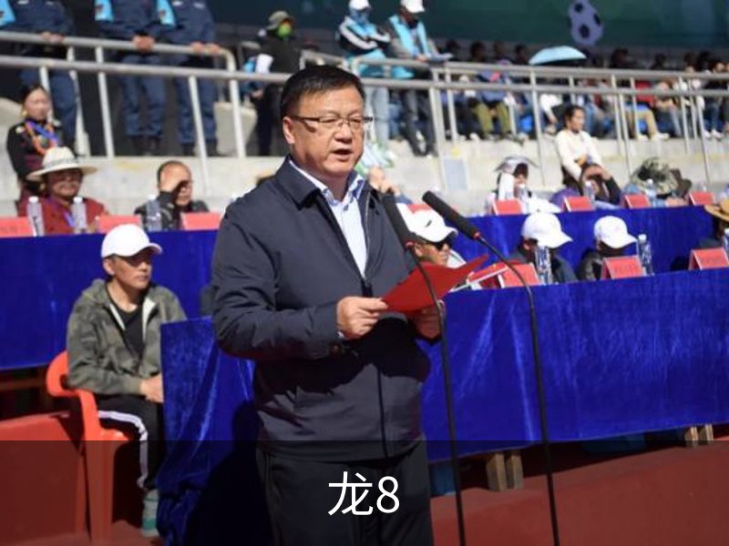 关于龙8